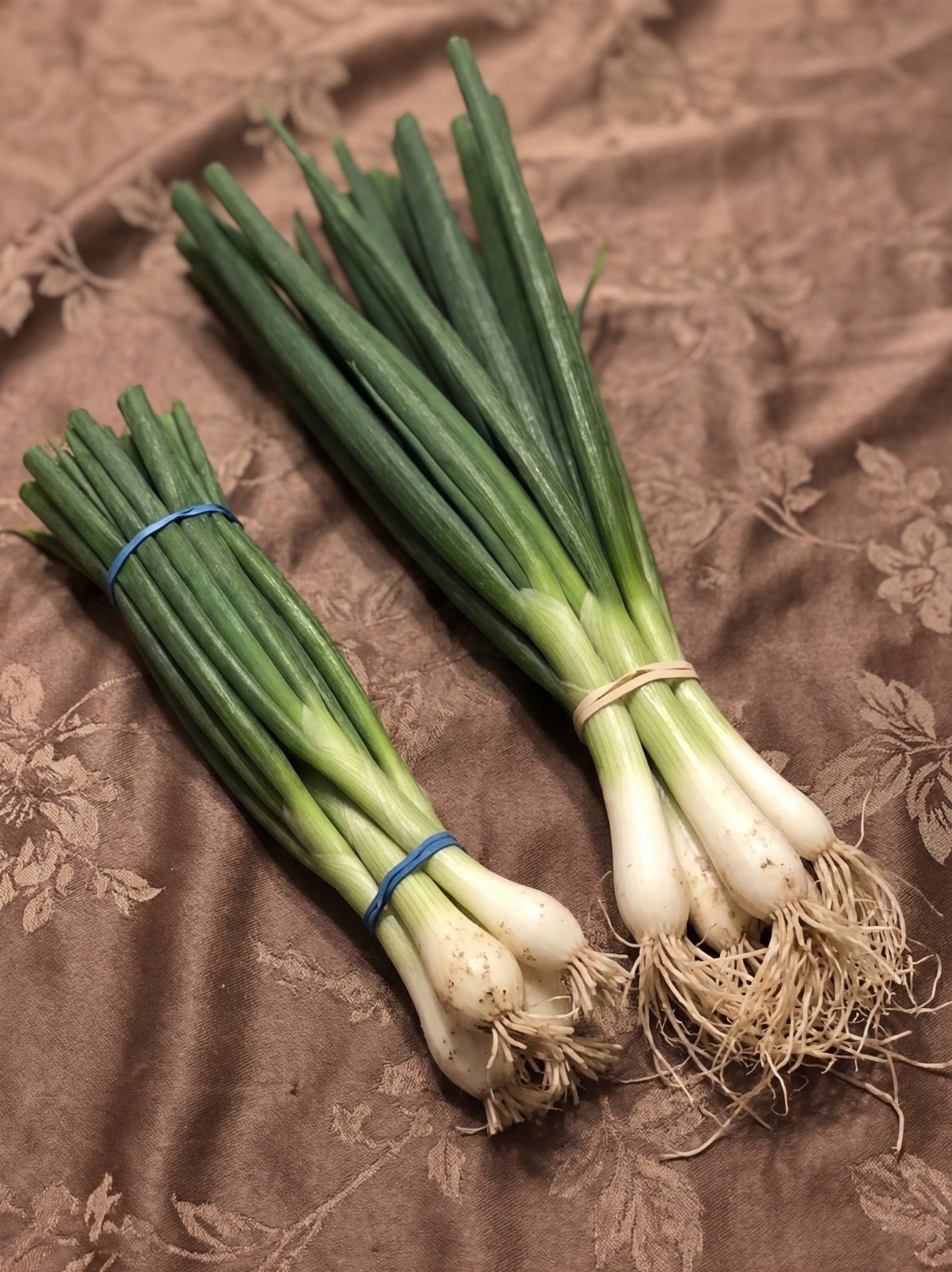 Difference Between Green Onions, Scallions, Spring Onions and Chives
