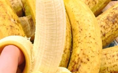 If you are over 50, eating a banana a day could be beneficial to your health.