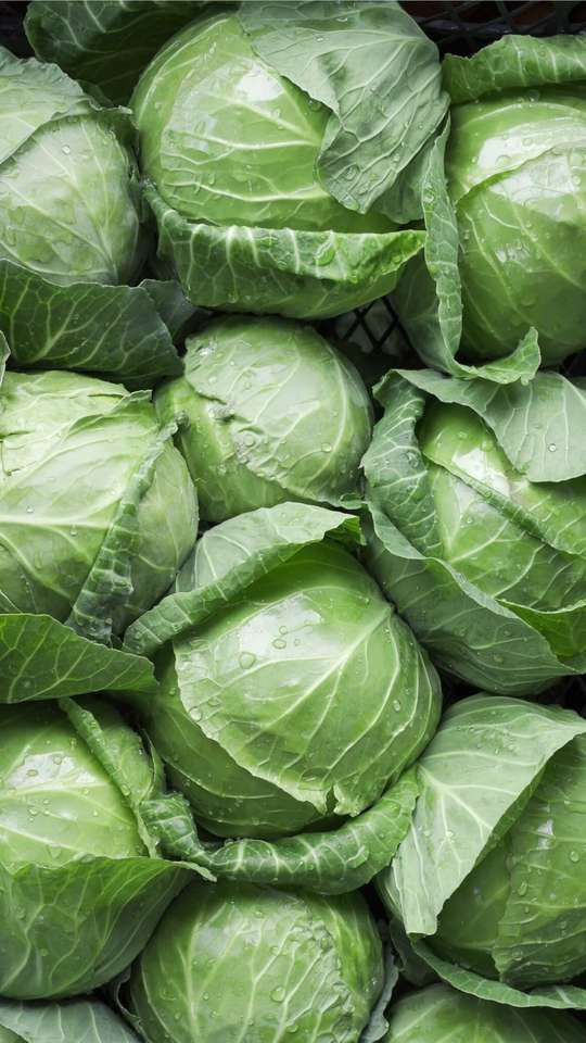 Doctors reveal that eating cabbage causes
