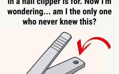Why Your Nail Clipper Has That Small Round Hole and Why It Still Matters Today