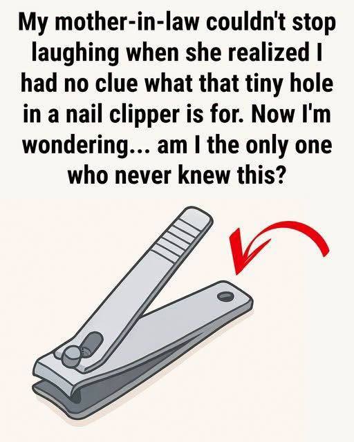 Why Your Nail Clipper Has That Small Round Hole and Why It Still Matters Today