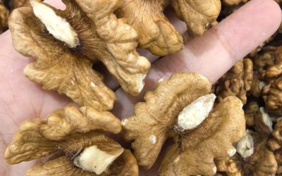 Doctors reveal that eating walnuts causes