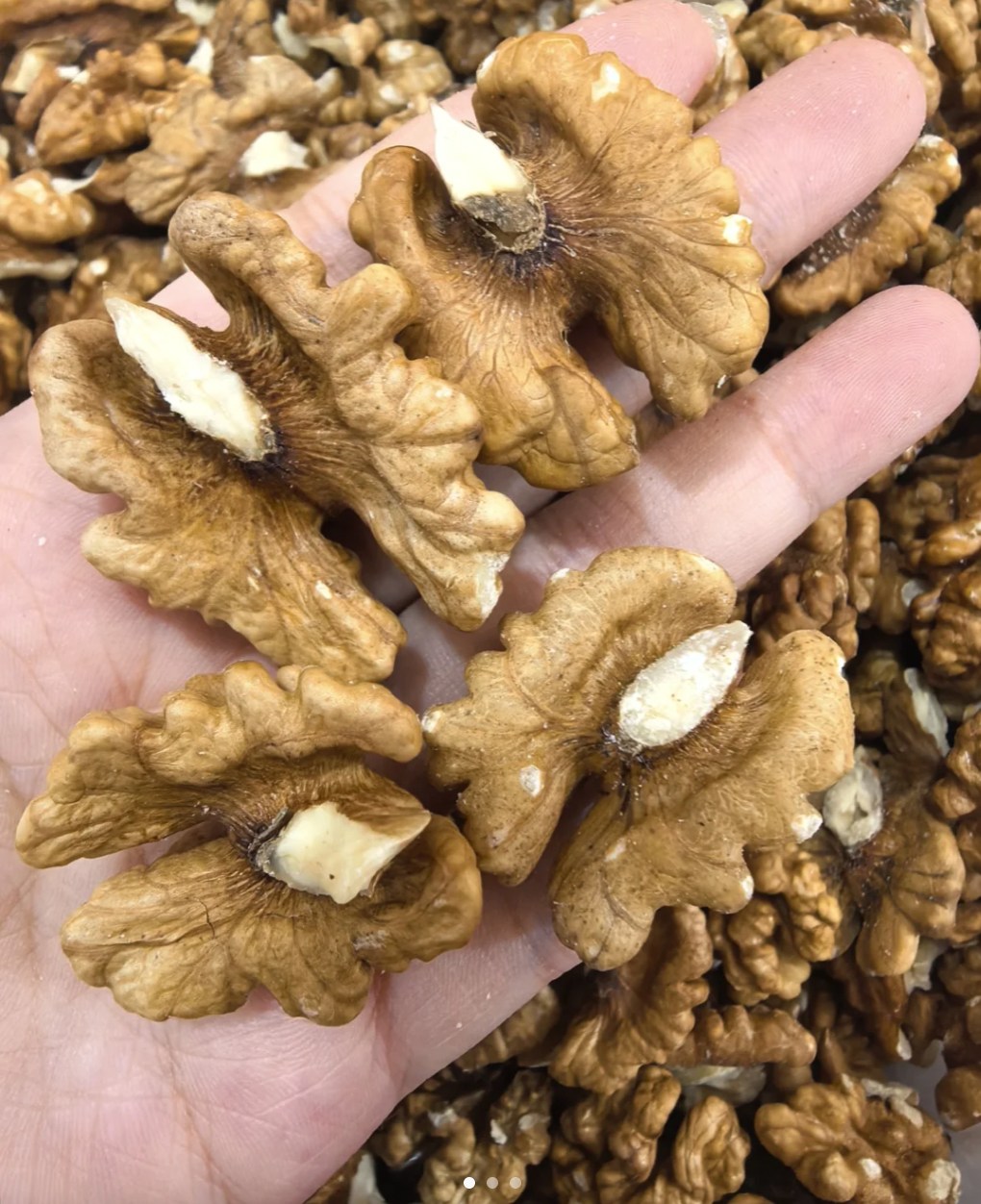 Doctors reveal that eating walnuts causes