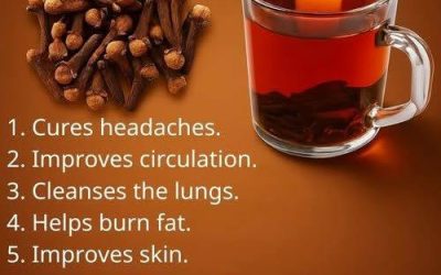 The Ancient Secret in Your Spice Rack: 18 Proven Ways Clove Tea Transforms Your Health, Metabolism, and Longevity
