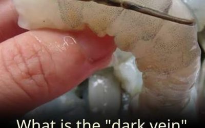 The “vein” of the shrimp: the culinary detail that few know and many discuss
