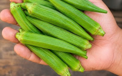 Doctors reveal that eating okra regularly can cause… See more