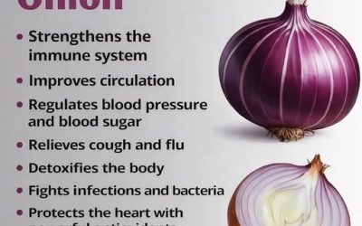 The Powerful Health Benefits of Onions Full article 👇 💬