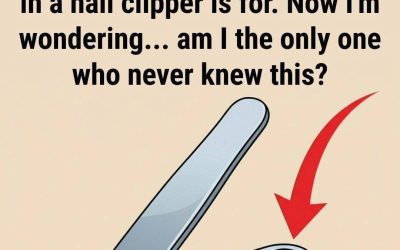 Why Your Nail Clipper Has That Small Round Hole and Why It Still Matters Today