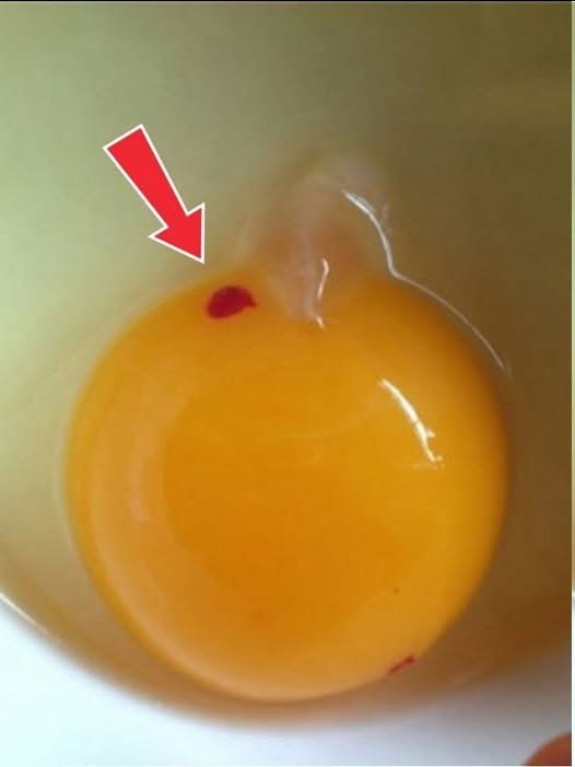 Is It Safe to Eat Eggs With Red Spots? A Clear Guide for Everyday Cooks