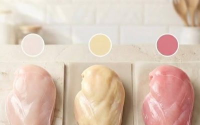The Truth About Chicken Color and What It Says About Quality