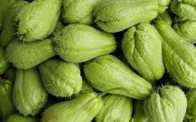 Doctors reveal that eating chayote causes