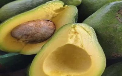 Doctors reveal that eating avocado causes in