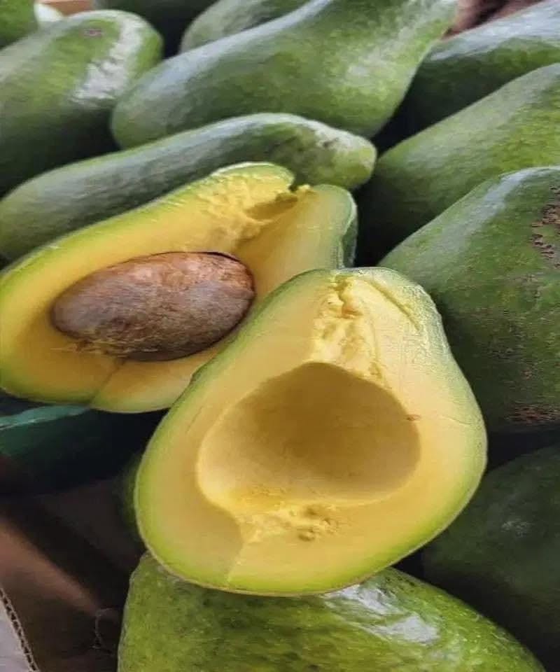 Doctors reveal that eating avocado causes in
