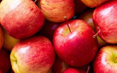 Doctors Reveal That Eating Apples Causes