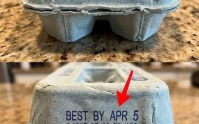 The Secret Meanings Behind the Codes on Egg Cartons