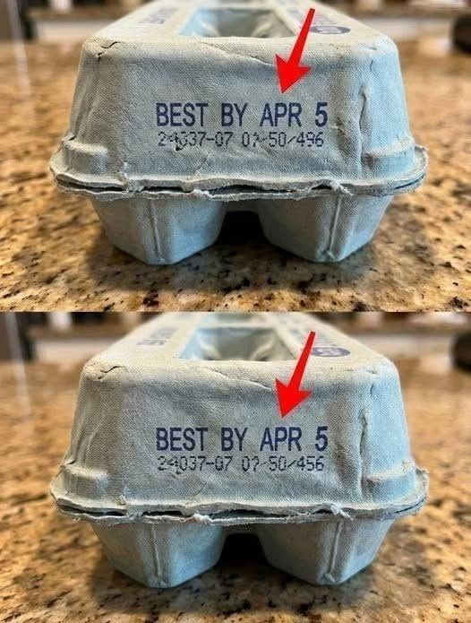 The Secret Meanings Behind the Codes on Egg Cartons