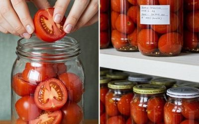 Fresh tomatoes for 2 years without vinegar: a reliable preservation method October 25, 2025 by admin