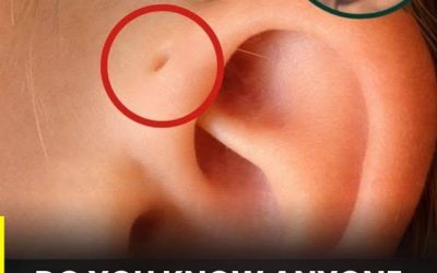 Discover the meaning of this particular mark on the ear.