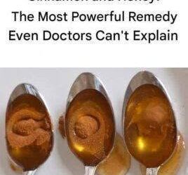 Cinnamon and Honey: A Powerful Natural Remedy