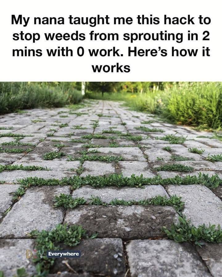 My nana taught me this hack to stop weeds from sprouting in 2 mins with 0 work. Here’s how it works