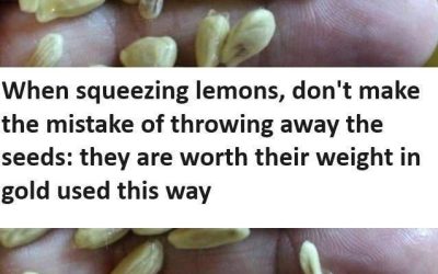 When squeezing lemons, don’t make the mistake of throwing away the seeds: