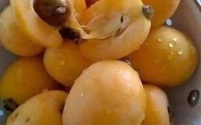 I’ve been trying to remember the name of this fruit my whole life