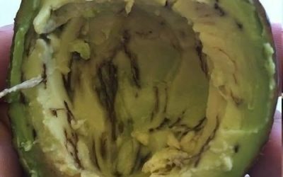 How to Know If an Avocado Is Safe to Eat: The Ultimate Guide to Avoiding Waste (and Disappointment)