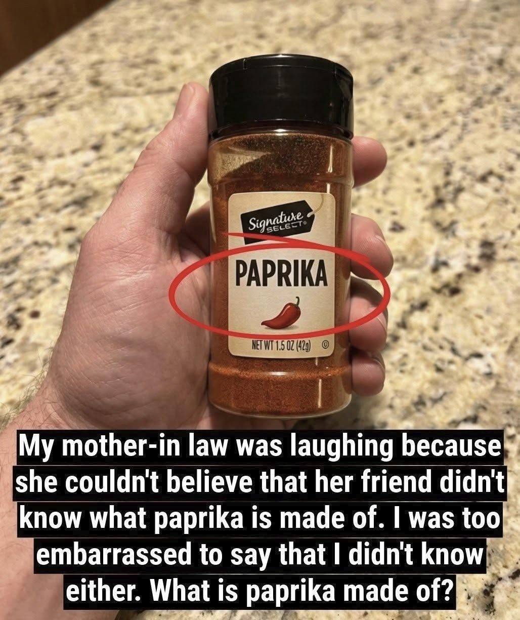 What Is Paprika Made Of? The Truth About This Popular Spice (No, It’s Not Bugs!)