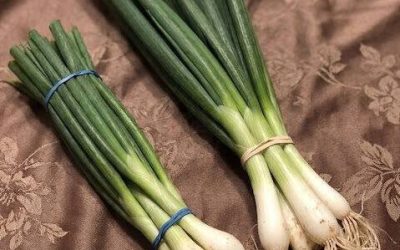 The Difference Between Green Onions, Scallions, Spring Onions, and Chives Explained