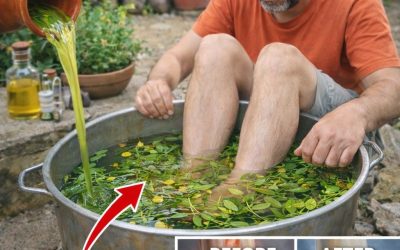 Let’s see what rosemary does to your body…