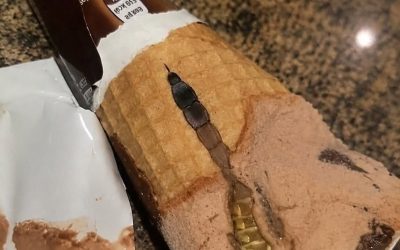 She Took One Bite of Her Ice Cream and Froze When She Saw What Was Hiding Inside