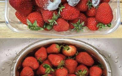 How to Best Store Fresh Strawberries: 5 Methods and All the Useful Tips