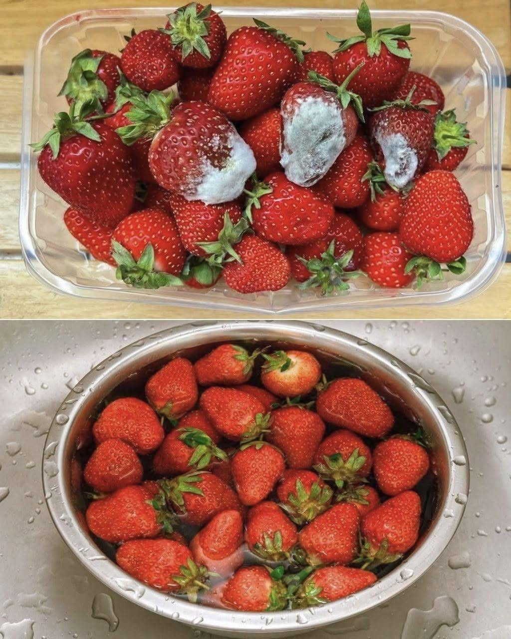 How to Best Store Fresh Strawberries: 5 Methods and All the Useful Tips