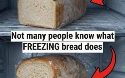 The Right Way to Freeze Bread for Maximum Freshness
