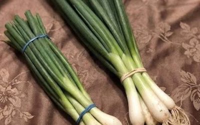 The Difference Between Green Onions, Scallions, Spring Onions, and Chives Explained