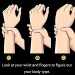 # Body Types: Are You an Ectomorph, Mesomorph, or Endomorph?