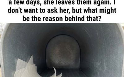 What It Means If You Find a Dryer Sheet in Your Mailbox (And Why You Should Leave It There)