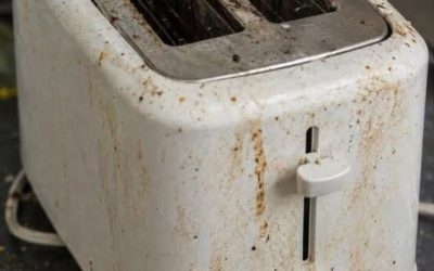 Your Toaster Is Grosser Than You Think