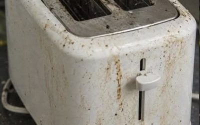 Your Toaster Is Grosser Than You Think