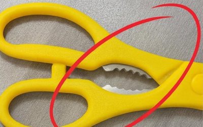 That “Toothy” Part on Kitchen Scissors — The Multi-Tool You’ve Been Ignoring (Here’s How to Use It)
