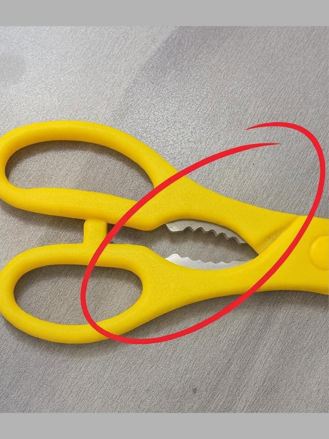 That “Toothy” Part on Kitchen Scissors — The Multi-Tool You’ve Been Ignoring (Here’s How to Use It)