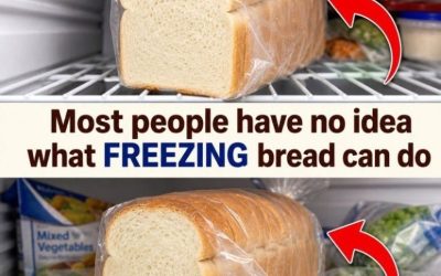 Never Waste Leftover Bread Again