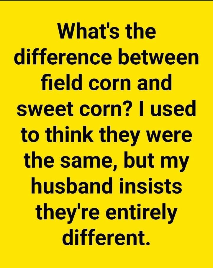 Field Corn vs. Sweet Corn: The Surprising Difference Between the “Good Stuff” and the “Workhorse”