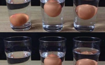 How to Tell If an Egg Has Gone Bad—3 Foolproof Tests (Plus What “Expired” Really Means)