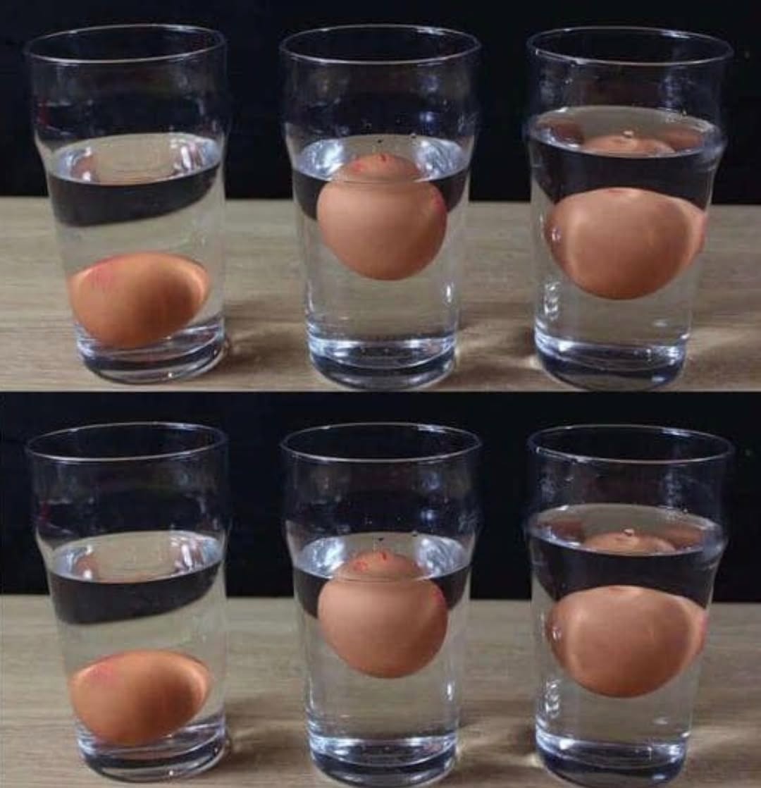 How to Tell If an Egg Has Gone Bad—3 Foolproof Tests (Plus What “Expired” Really Means)