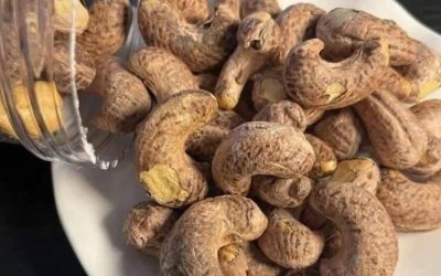 Doctors reveal that eating cashews causes …