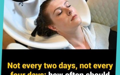 Not every two days, not every four days: how often should you wash your hair, according to a dermatologist?