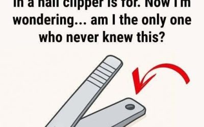 Why Your Nail Clipper Has That Small Round Hole and Why It Still Matters Today