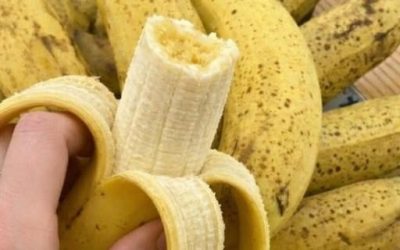 Doctors Say One Simple Habit After 50 Could Change Your Health, And Almost No One Is Doing It