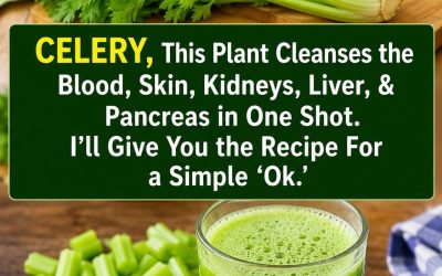This plant cleans the blood, skin, kidneys, liver, and pancreas in one go. But do it this way… To keep receiving my recipes, you just need to say something… Thank you!…